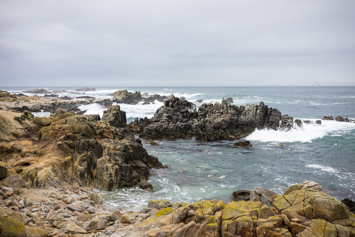 MorroBay-4-of-58.jpg