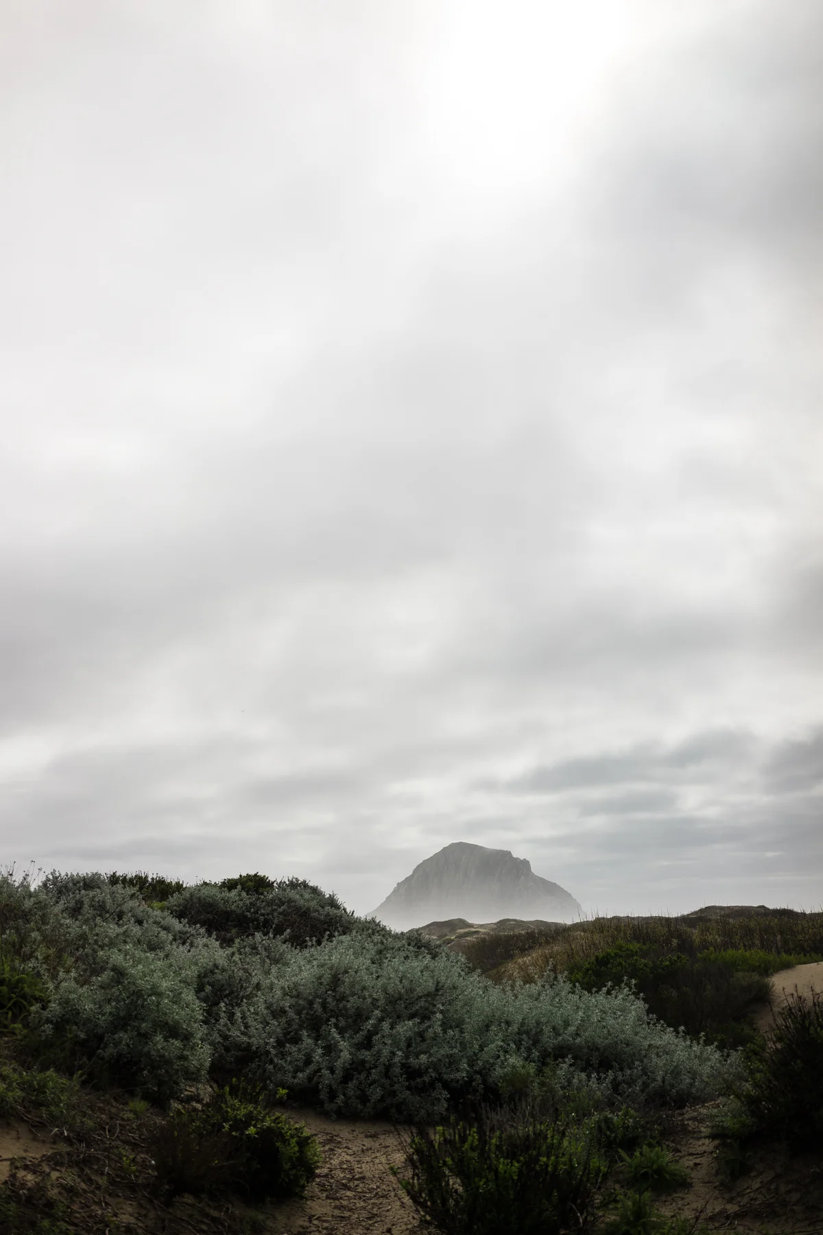 MorroBay-40-of-58.jpg