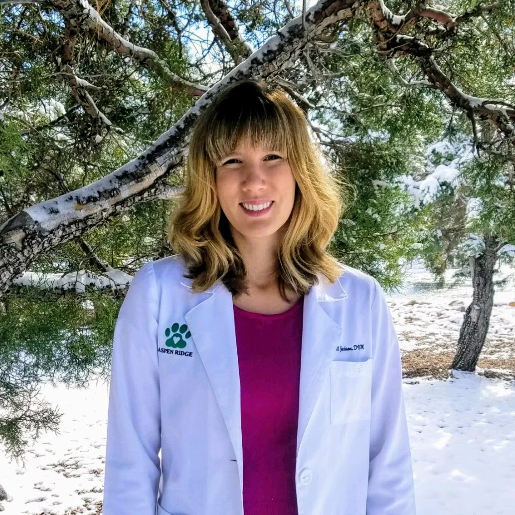 Team — Show Low & Veterinarians Aspen Ridge Animal