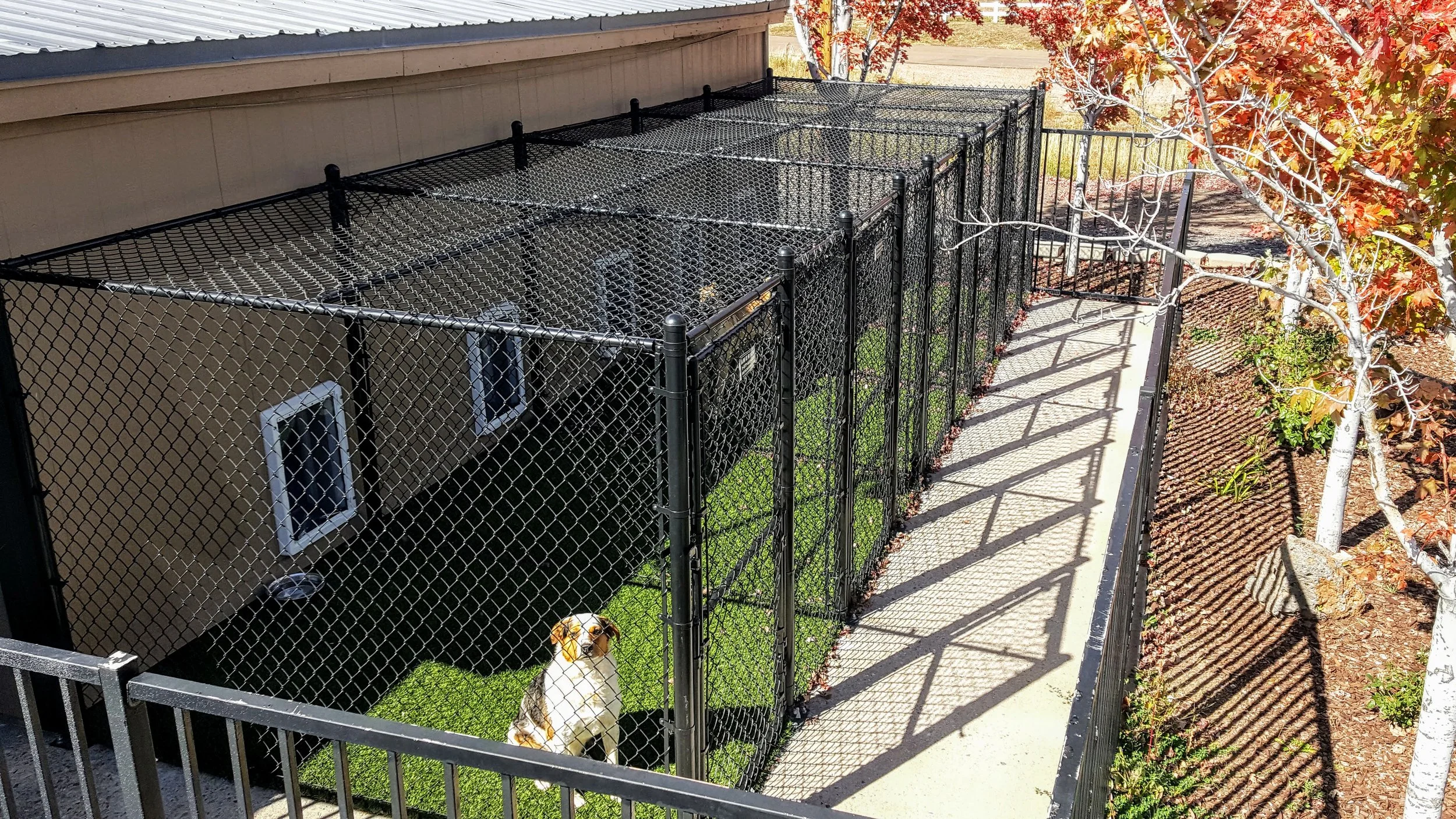 Boarding Pet Resort — Show Low & Veterinarians Aspen