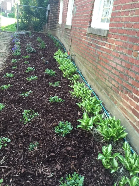 BayScaping