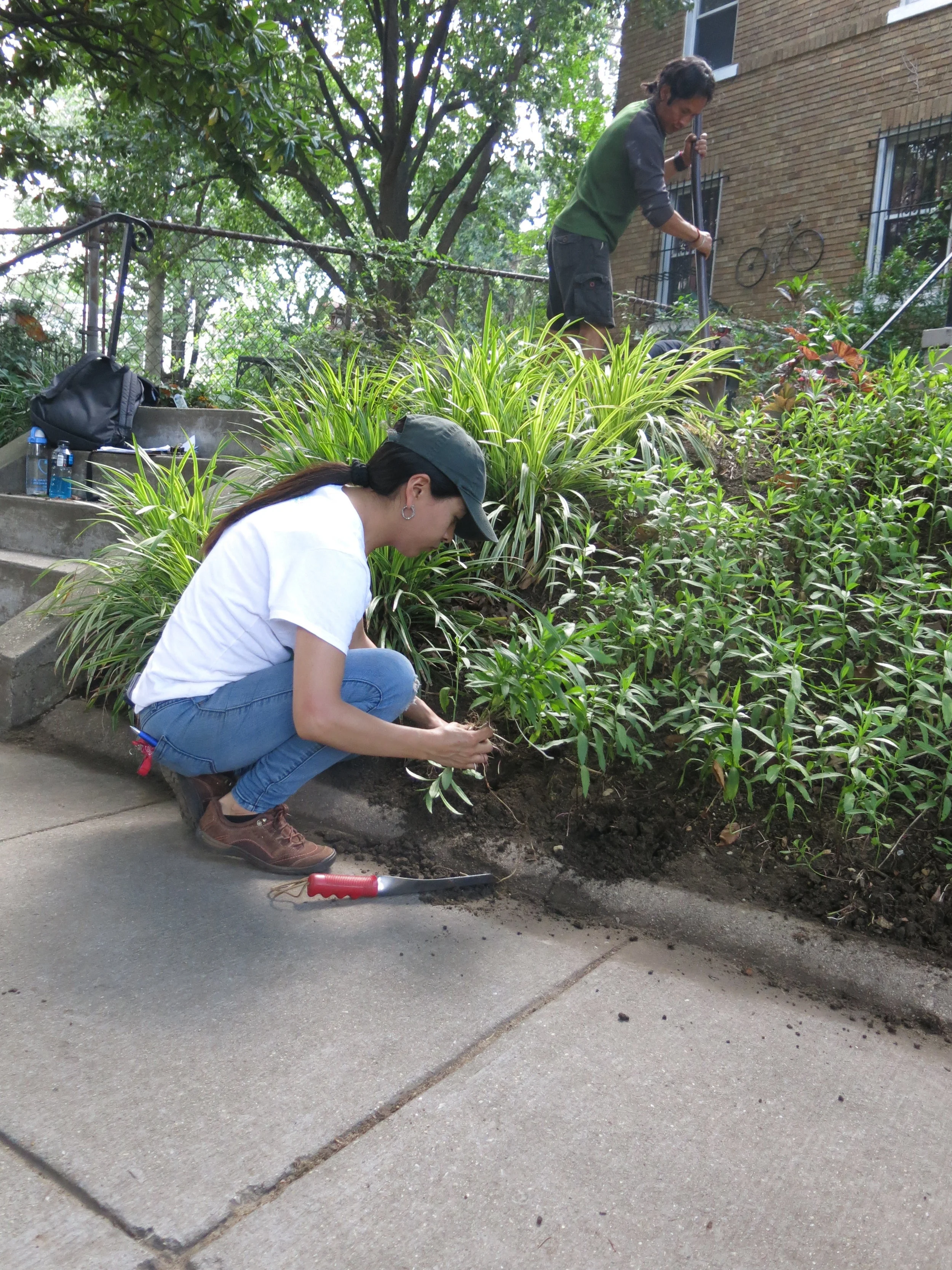 BS weeding filming - 34 Sherman Circle NW 18.JPG