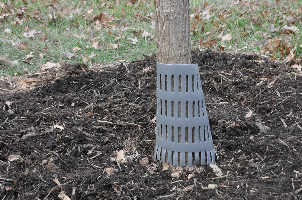 Plastic Trunk Guard (SOurce: Casey Trees)