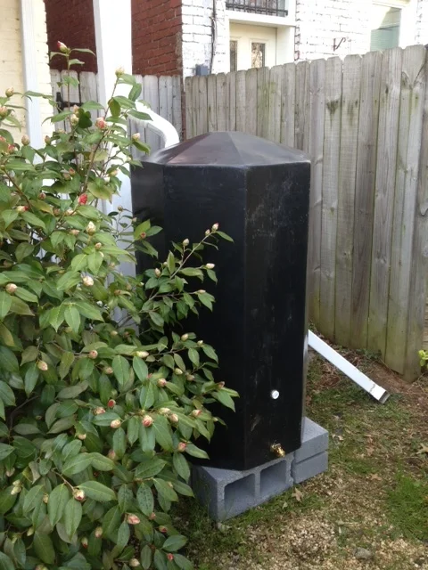 Rain Barrel