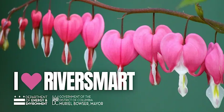 I ♥ RiverSmart