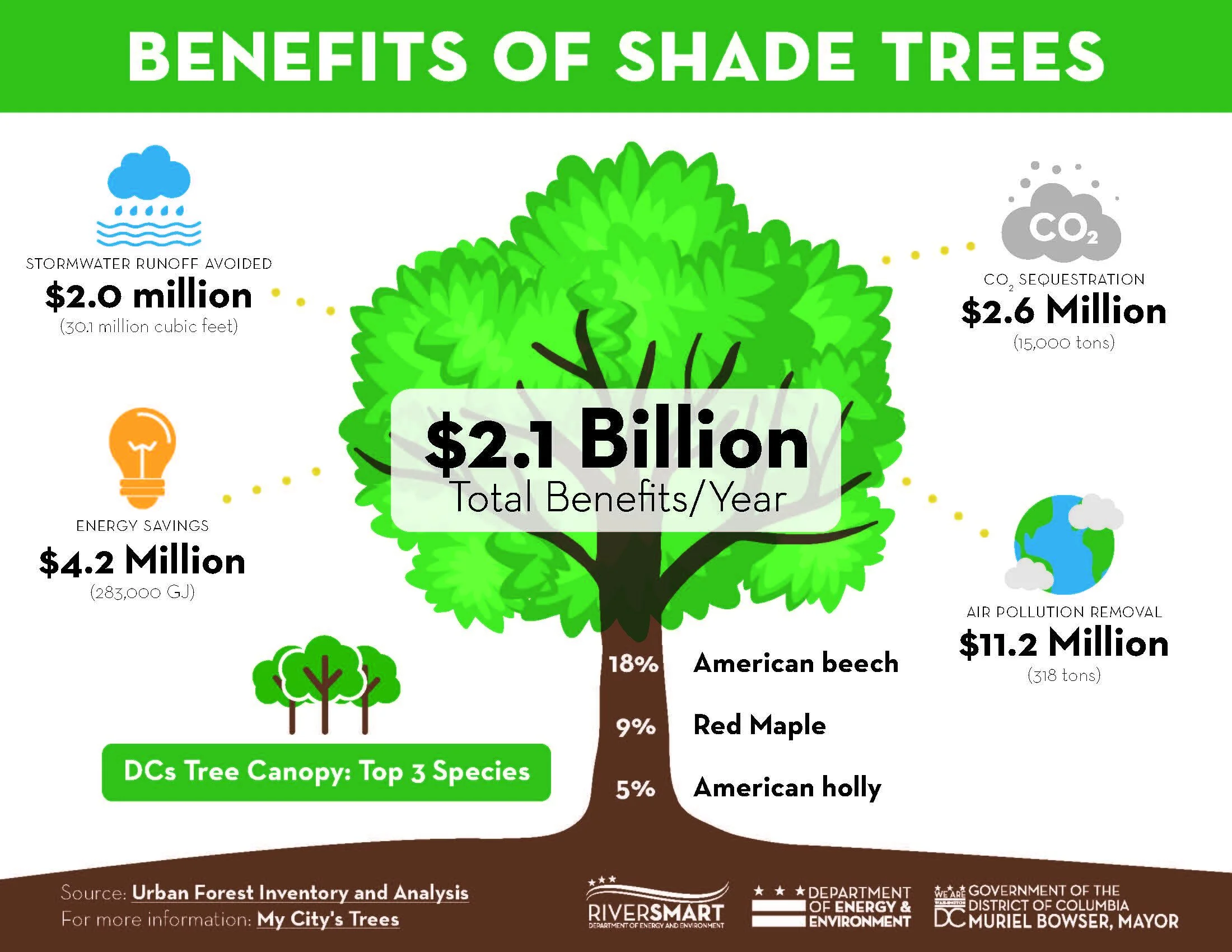 Shade Trees — Clean Water Starts Here