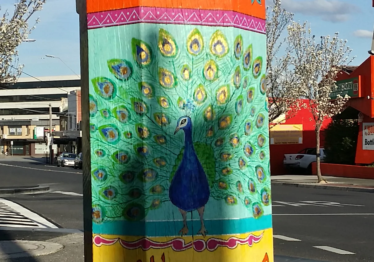3 peacock.jpg