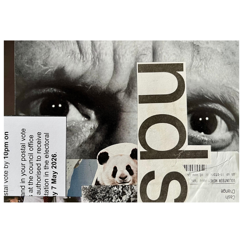 nds | Collage