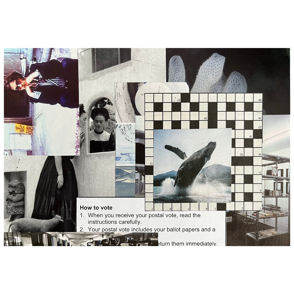 how to vote | Collage