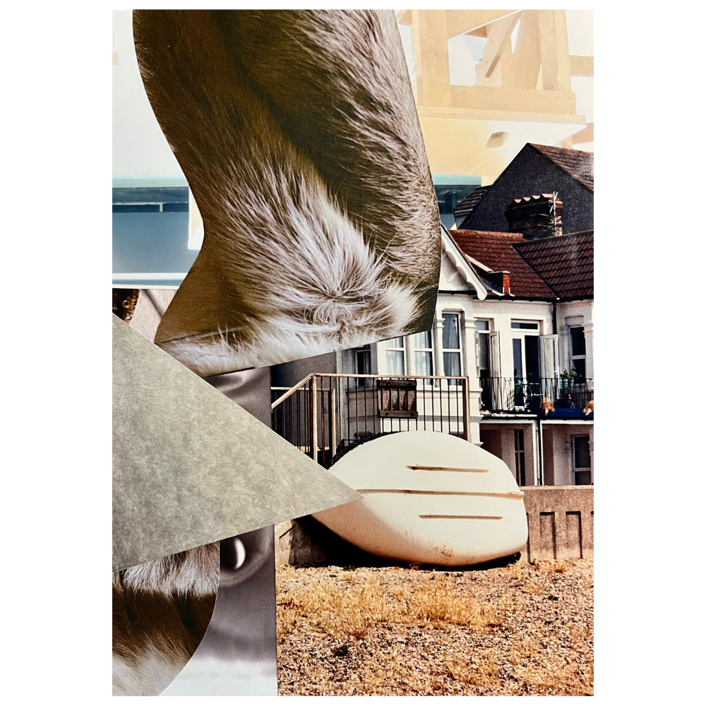 Furry | Collage
