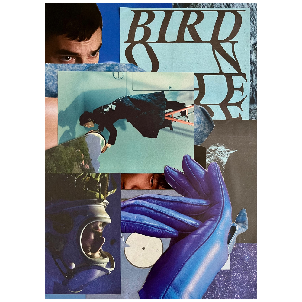 Untitled design.png