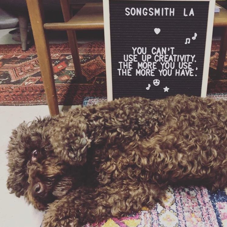 Molly, Director of Pawperations