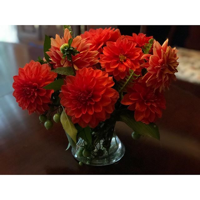 So little time left for the dahlias this year&mdash;and they could not be more beautiful!