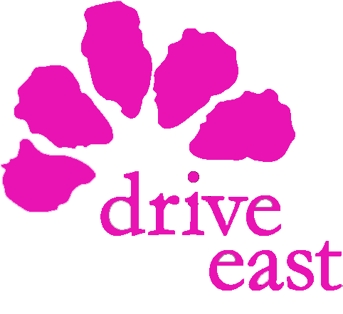 Copy of logopink (1).png