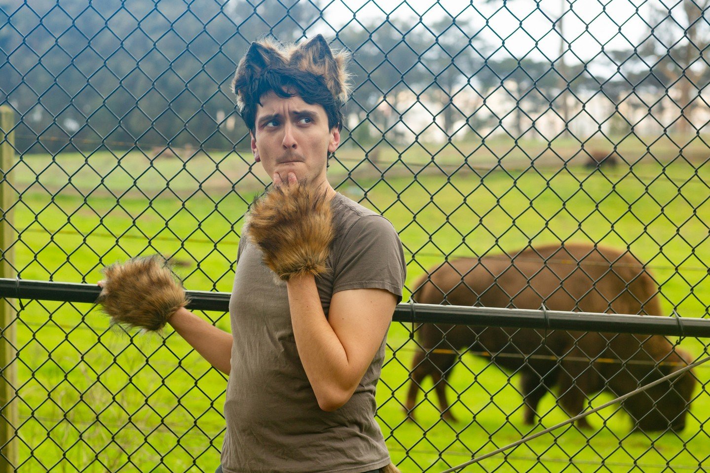 Word for WordPLAY's first full production, The Eyes &amp; the Impossible (Chapters 1-6) by Dave Eggers, opens in one month! The story focuses on Johannes, played by Nic Moore, a free and fast dog who serves as the "eyes" of an urban park by