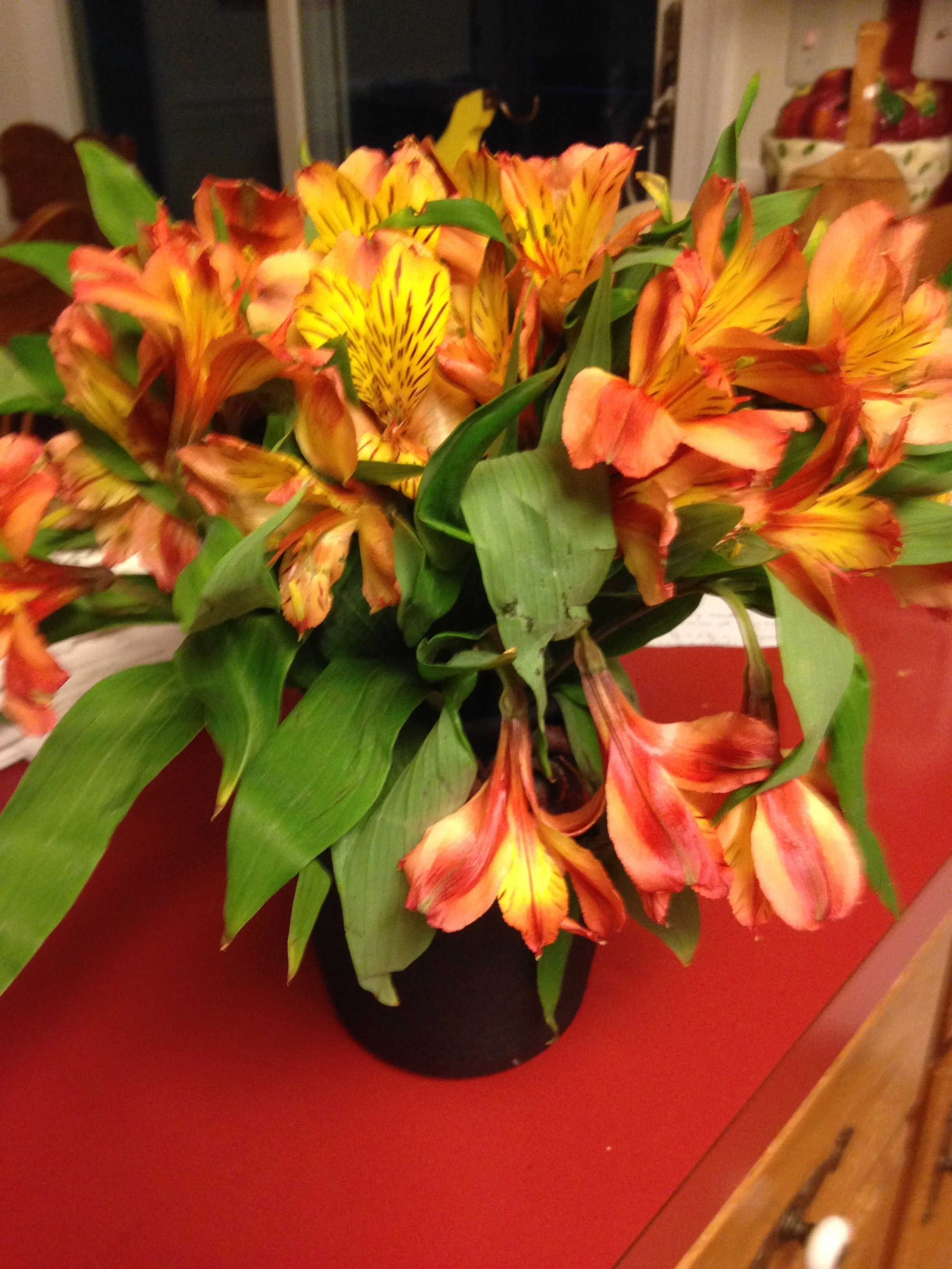 Fall Fellowship - Northern