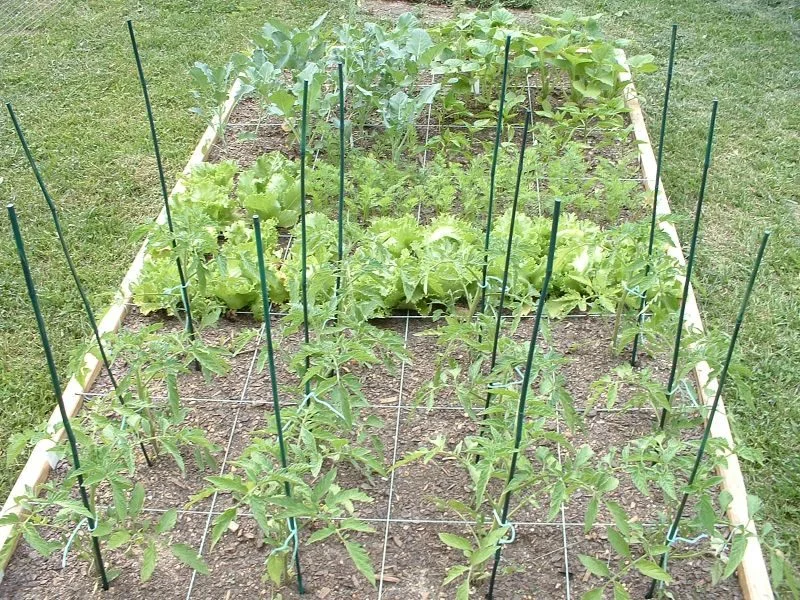 sqaurefoot garden