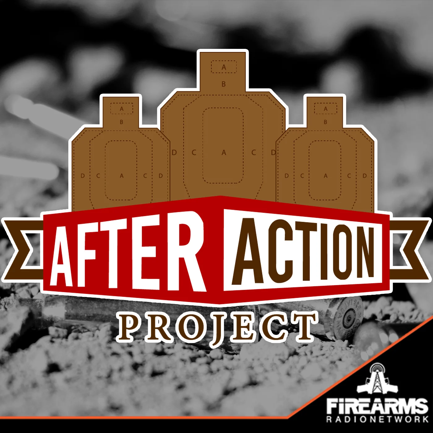 after-action-project-aap.jpg