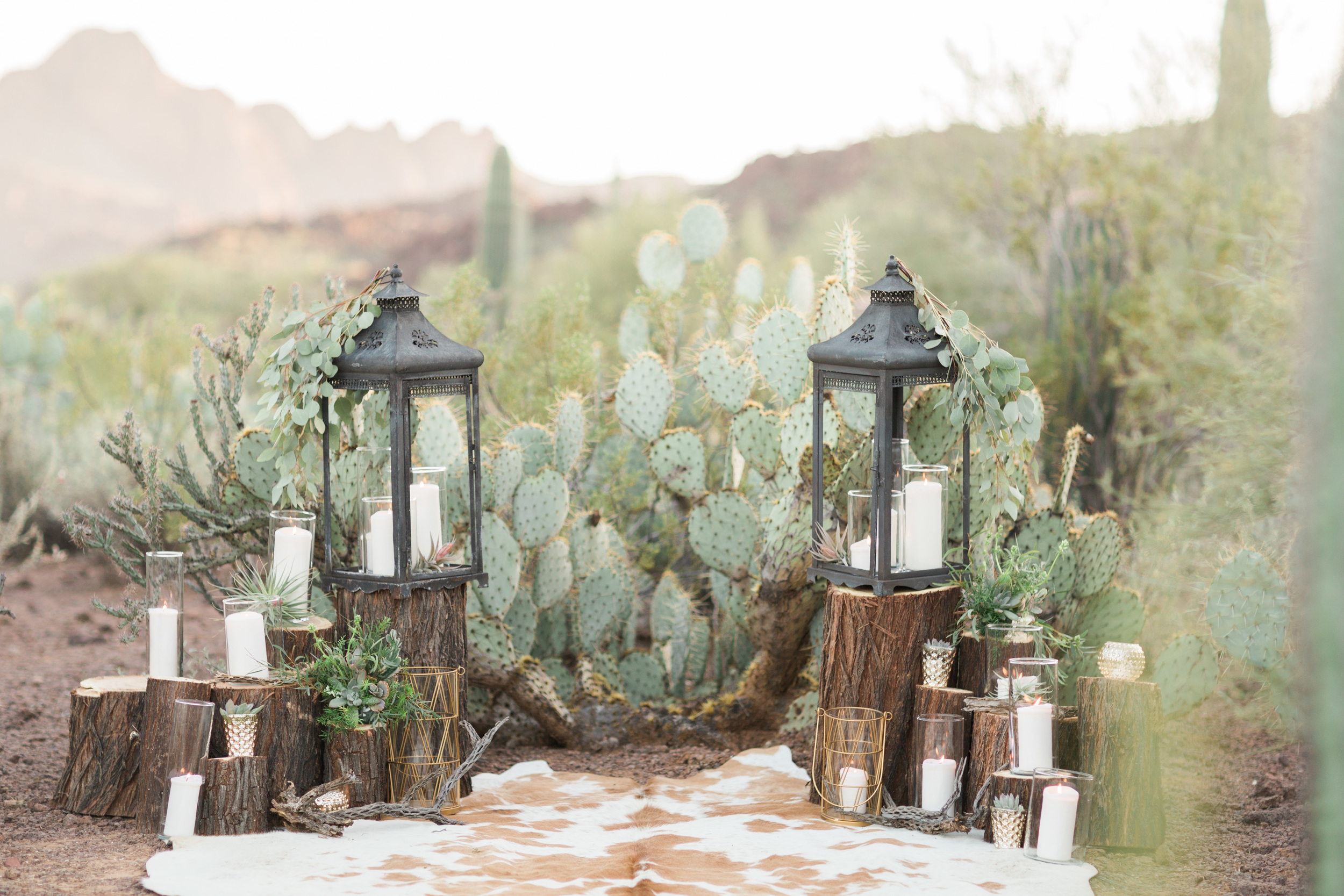 Beautiful desert set up with lanterns, candles and prickly pear cactus