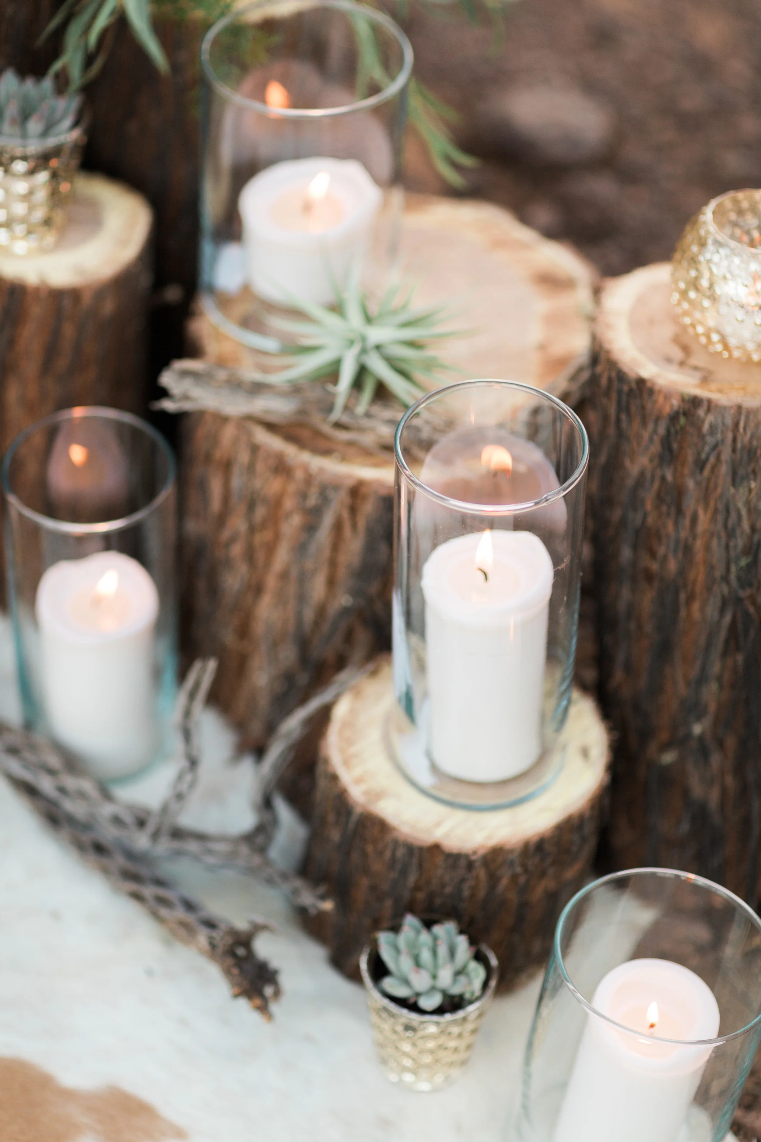 Candles in glass hurricane vases with succulents, air plants and cholla bones 