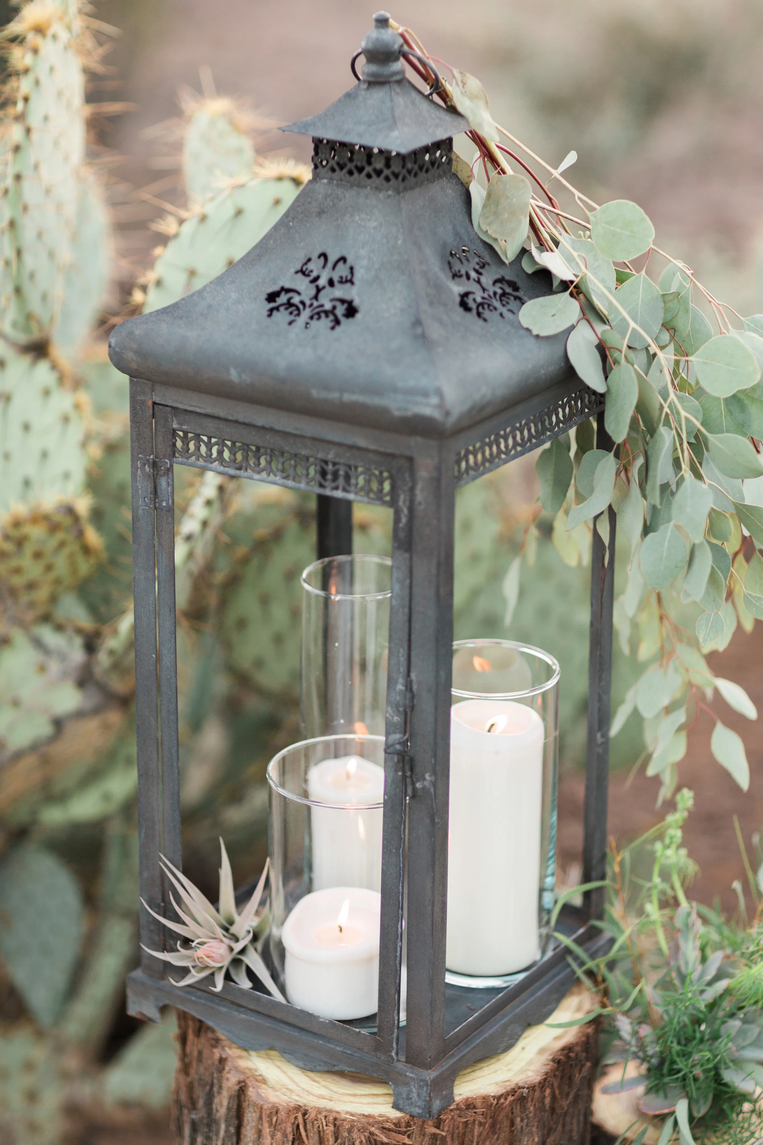 Beautiful lantern in the desert with candles, air plants and eucalyptus 