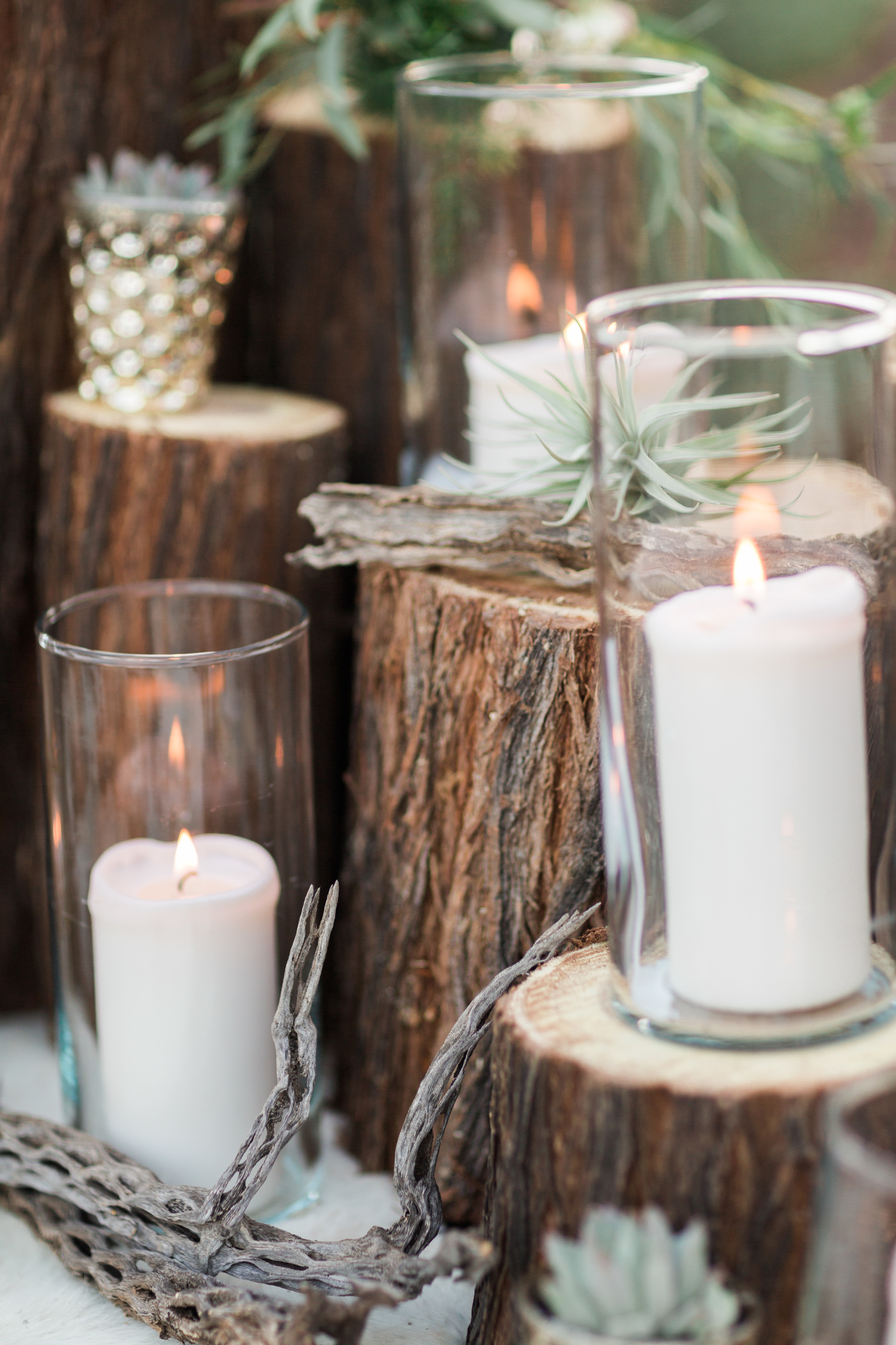 Romantic desert set up with candles, air plants and cholla wood