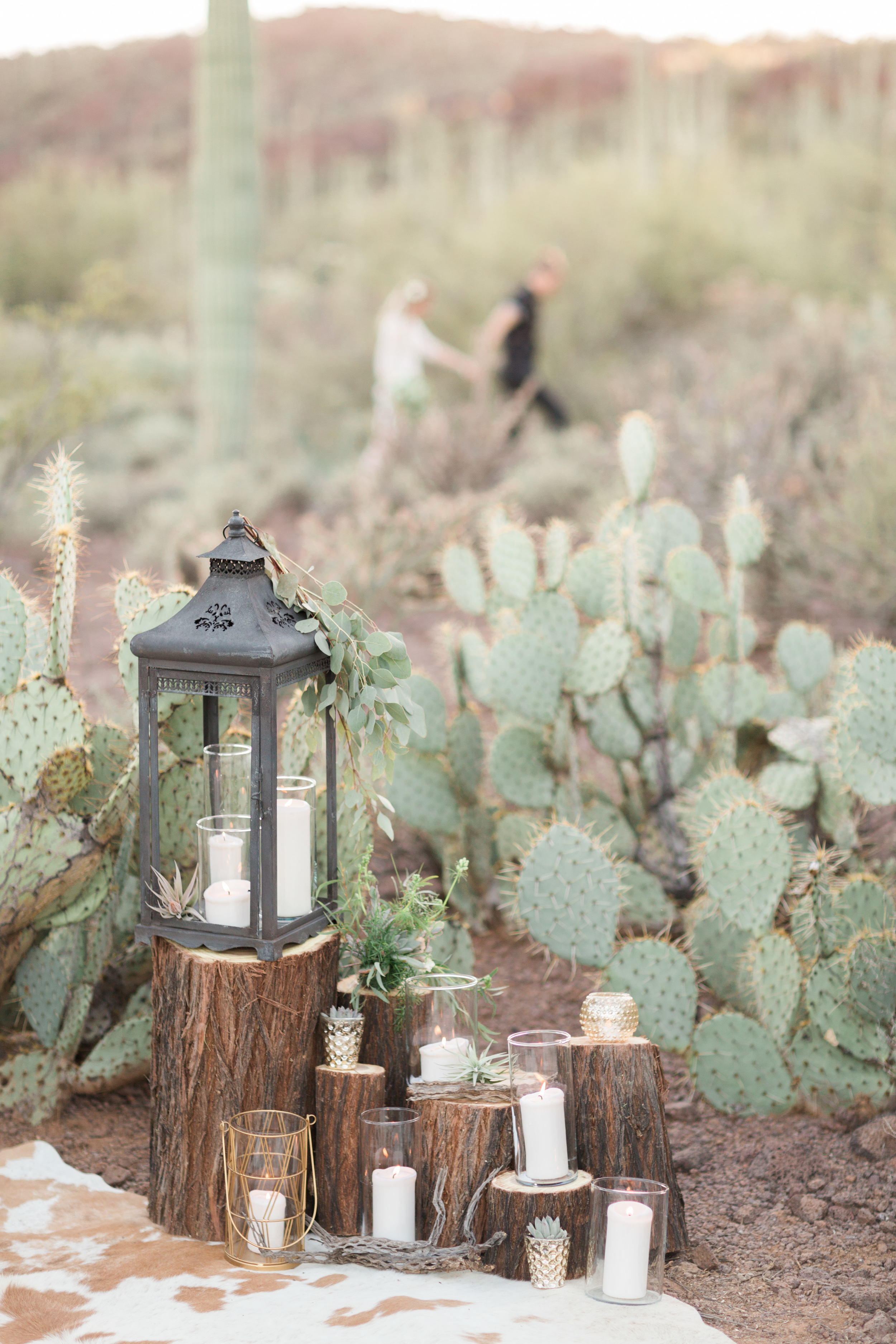 Romantic desert anniversary session. Wood stumps with candles, lanterns and air plants. Beautiful prickly pear cactus in the background.