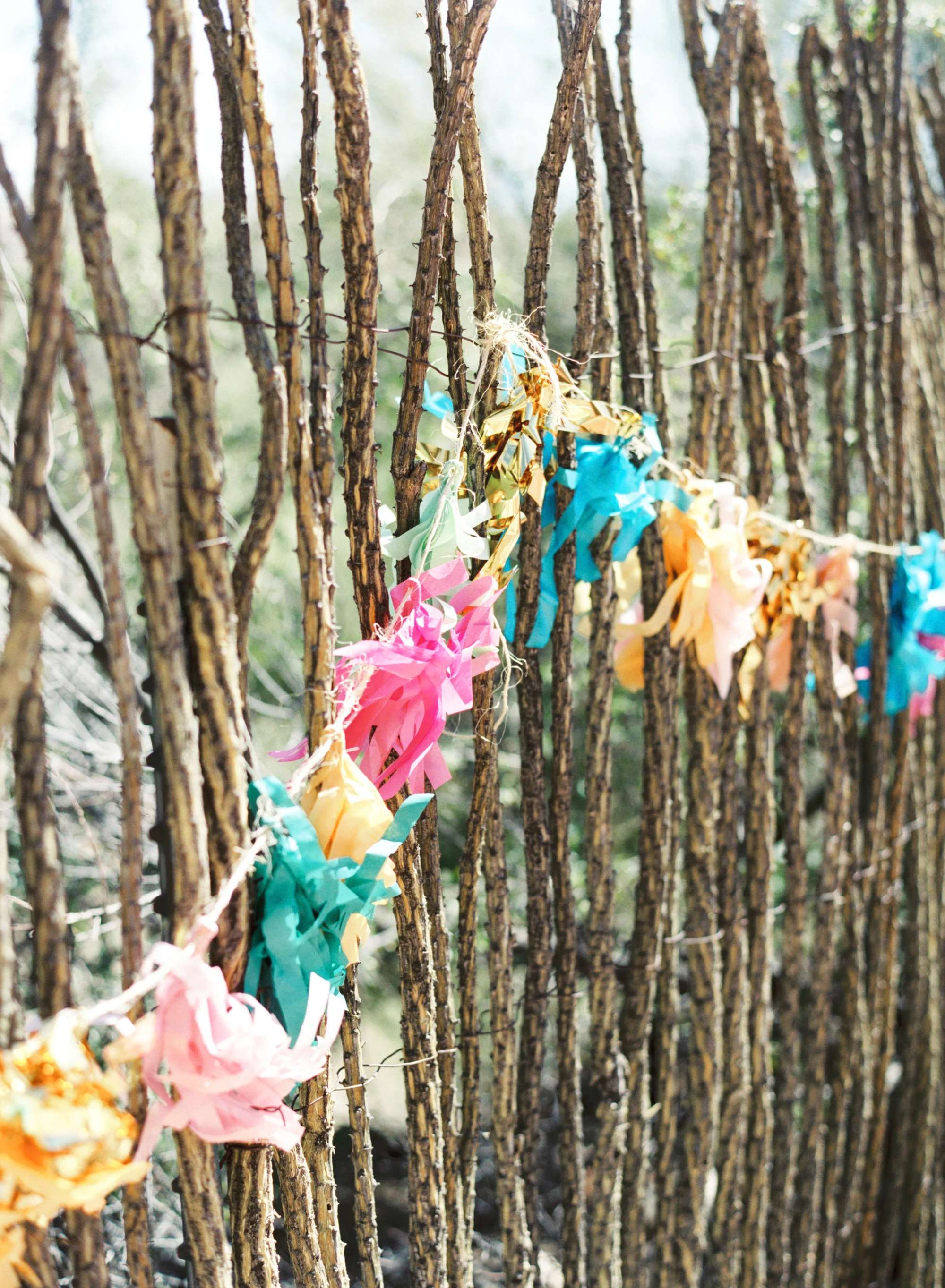 Bright and colorful hanging paper tassels 