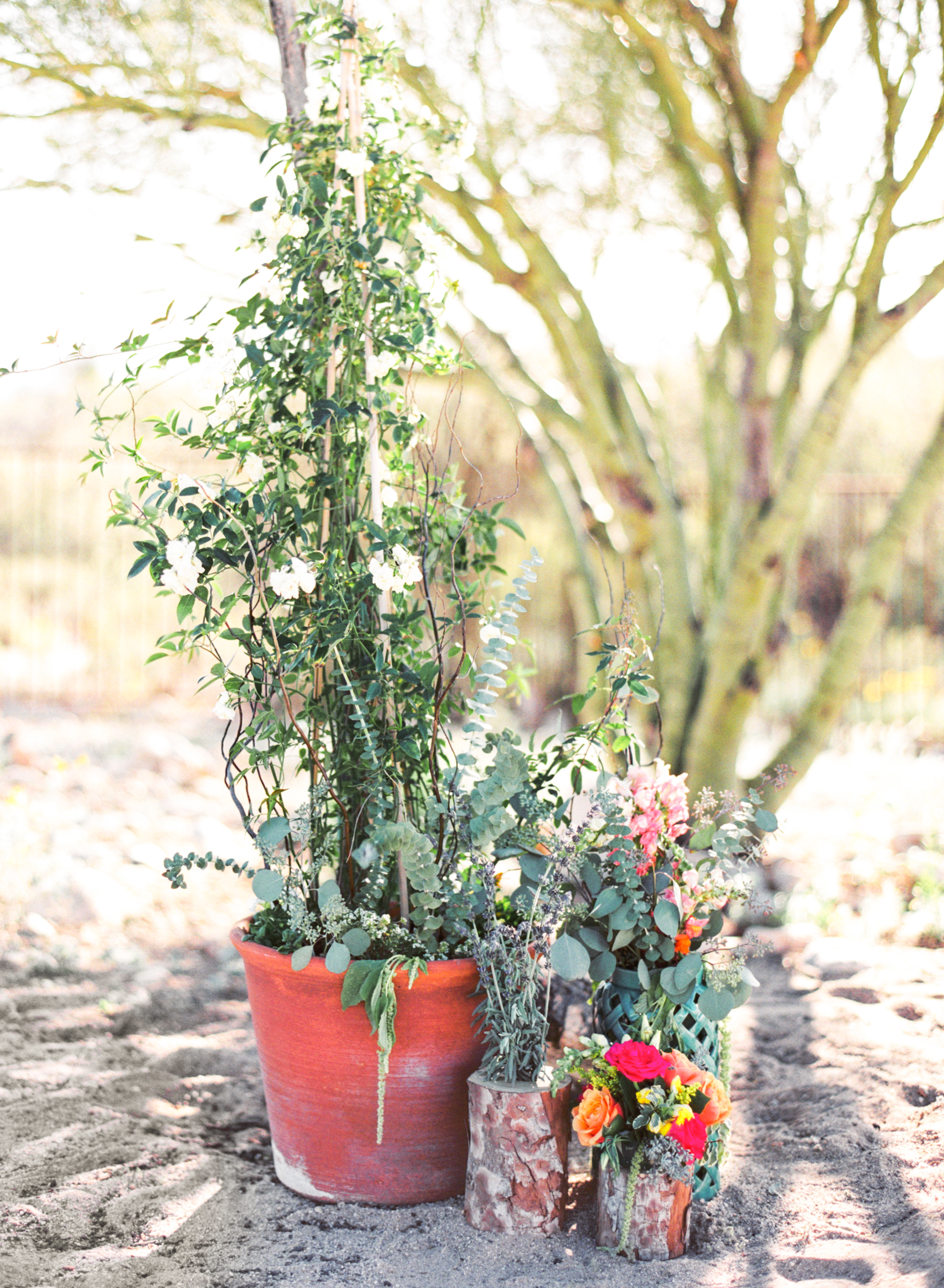 Tucson desert wedding florals