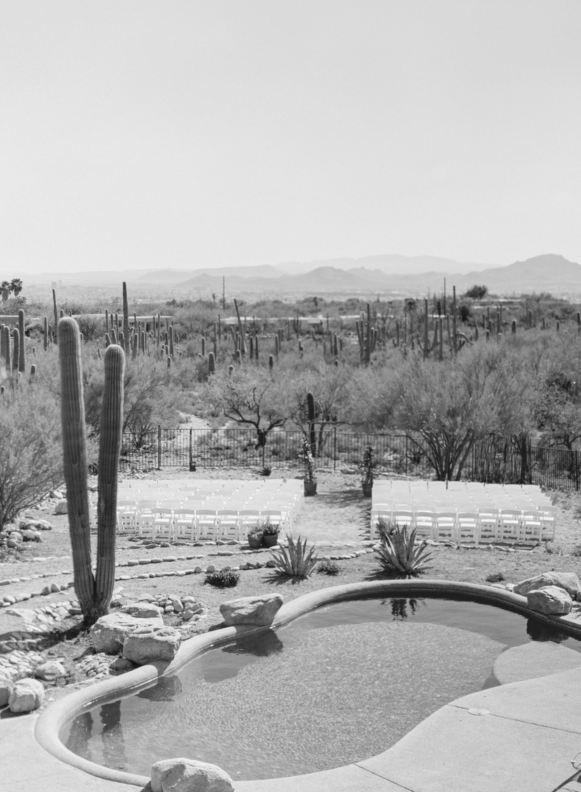  Tucson backyard wedding