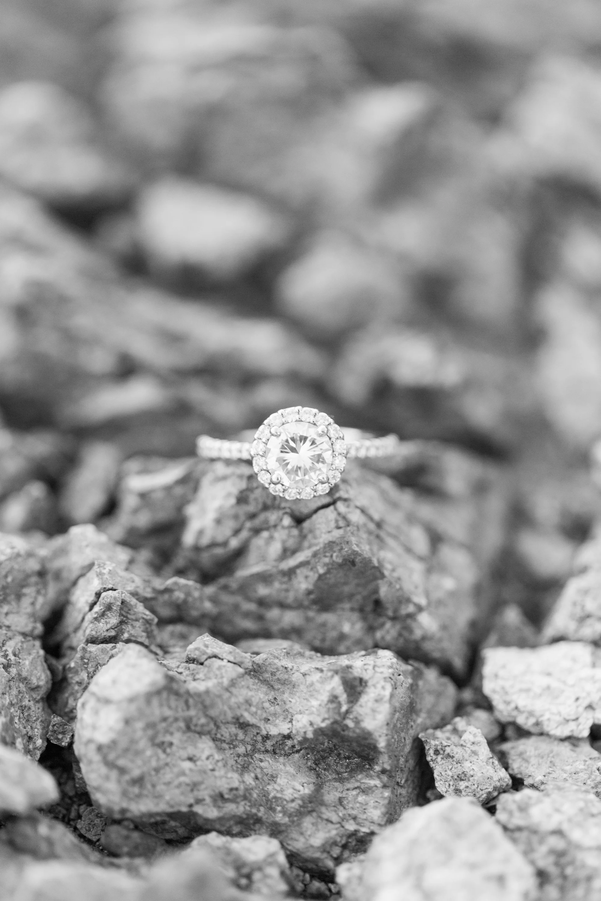 Gorgeous black and white ring shot of a round halo diamond engagement ring.