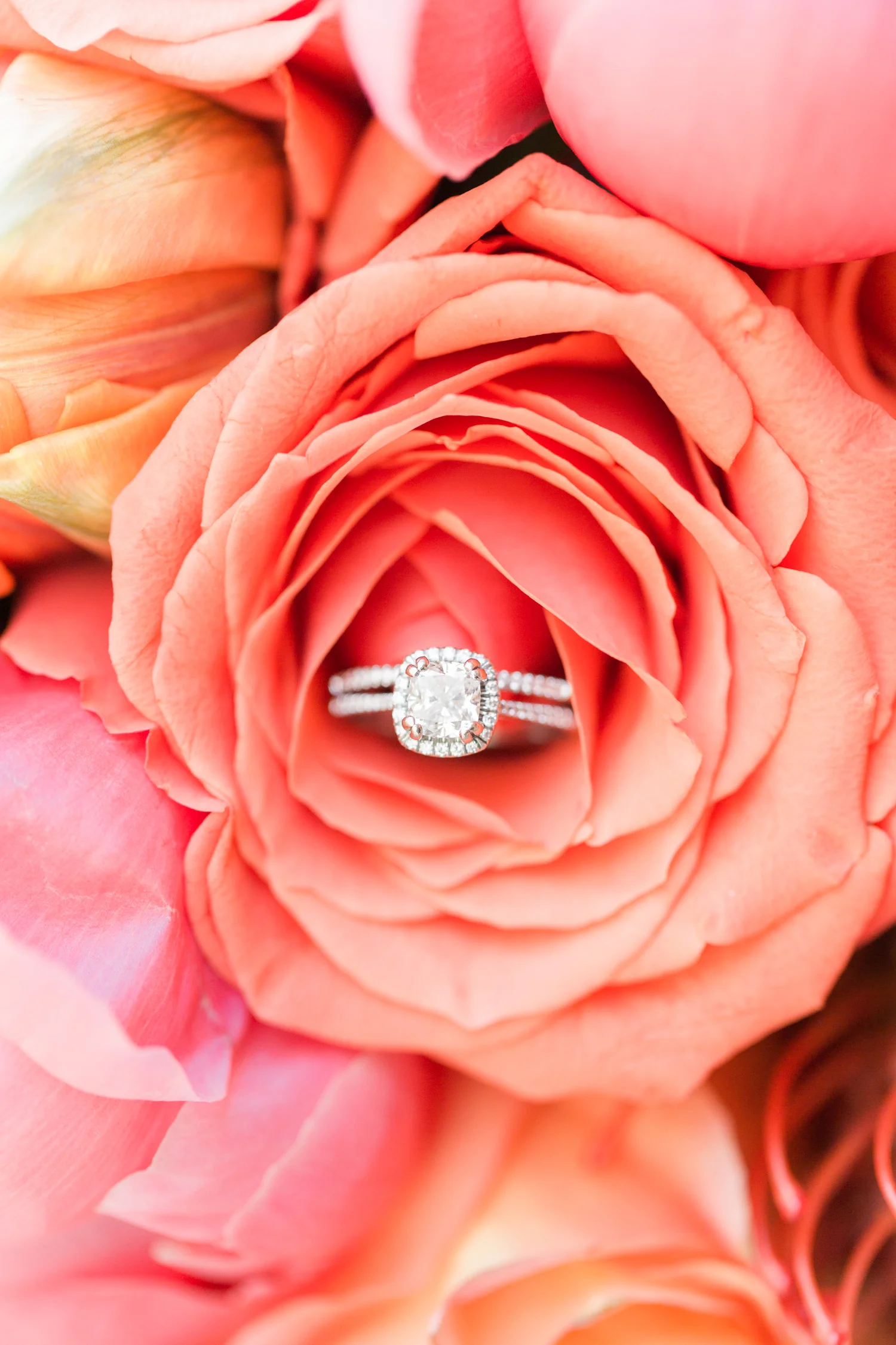 Gorgeous cushion cut halo engagement ring shot! 