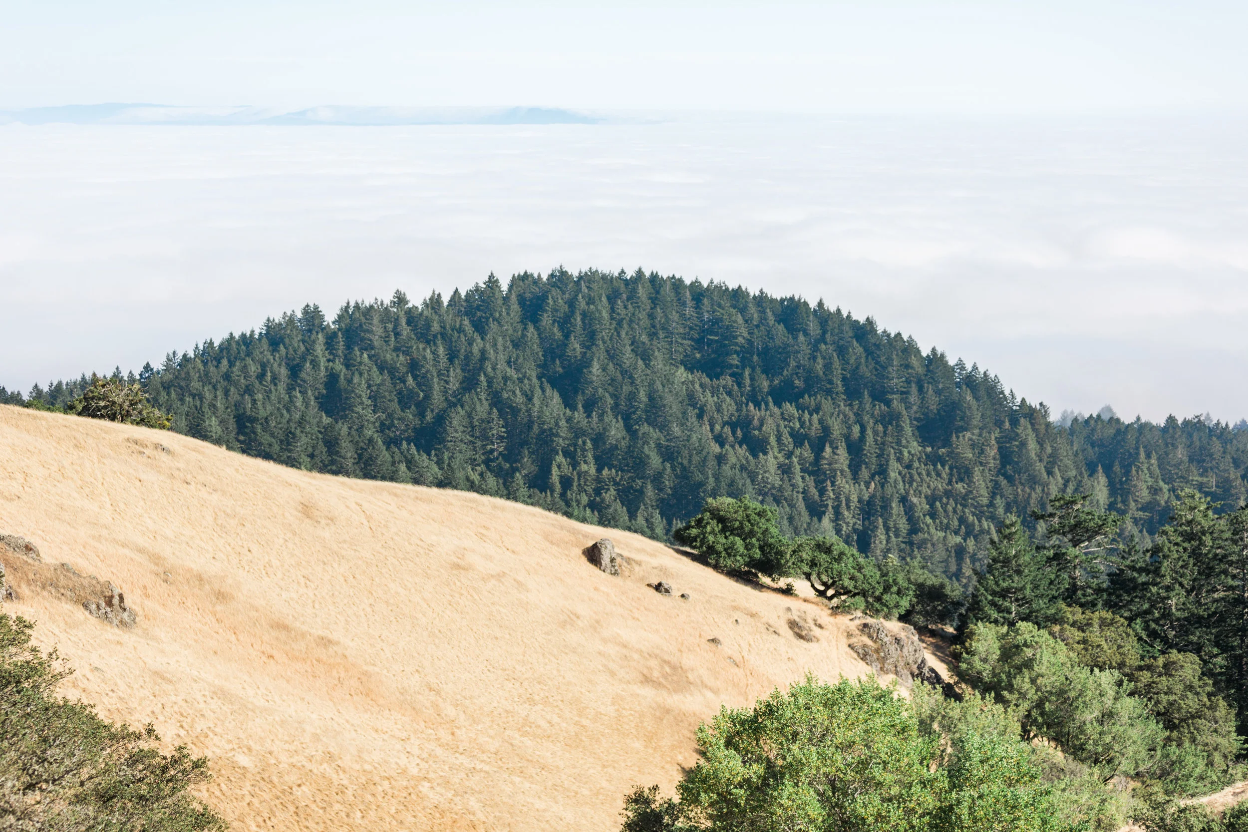 Fog settling over the city. View from the top of Mount Tamalpais in Mill Valley, CA