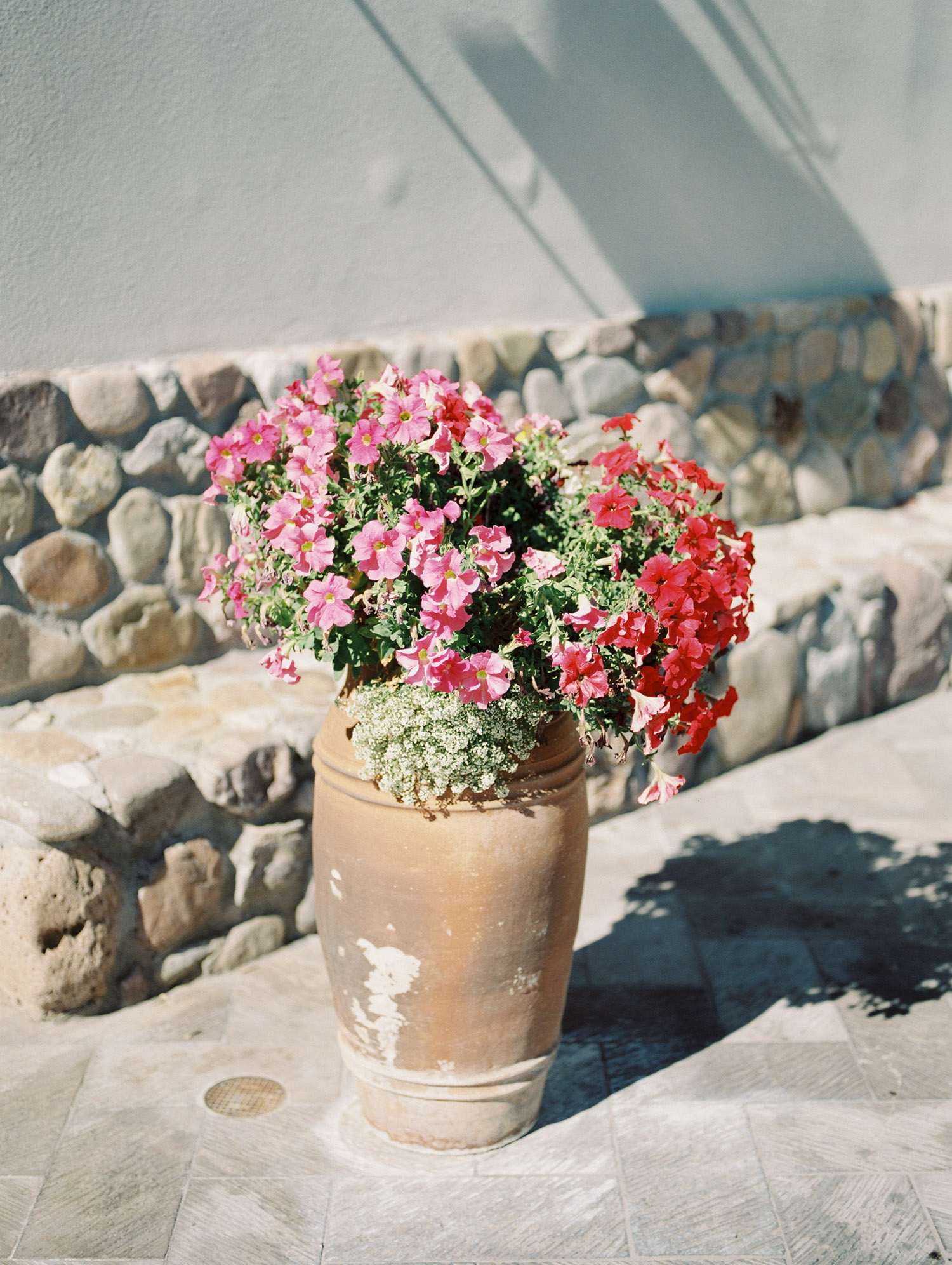 Flowers in front of the Tubac Golf Resort Chapel 