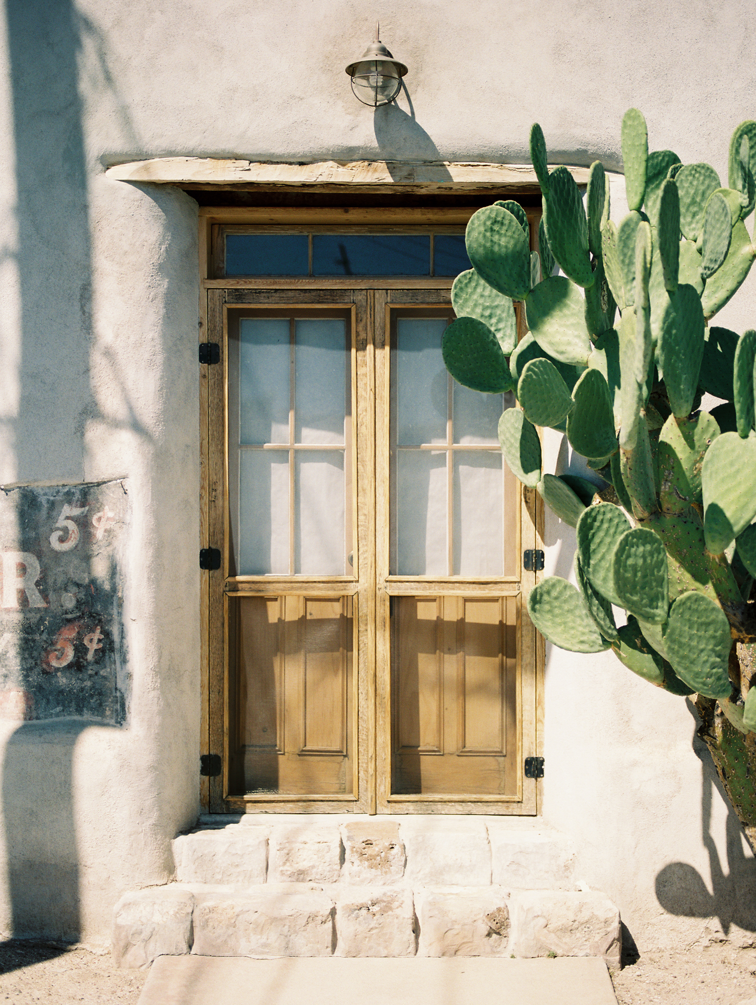 Tucson Barrio old door with cactus 