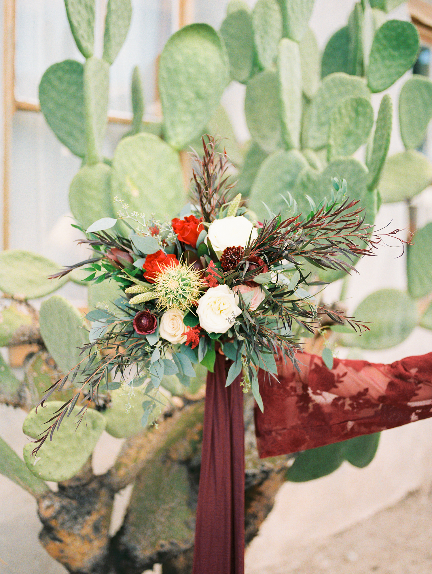 Bride holding up bouquet with bright green cactus in the background 