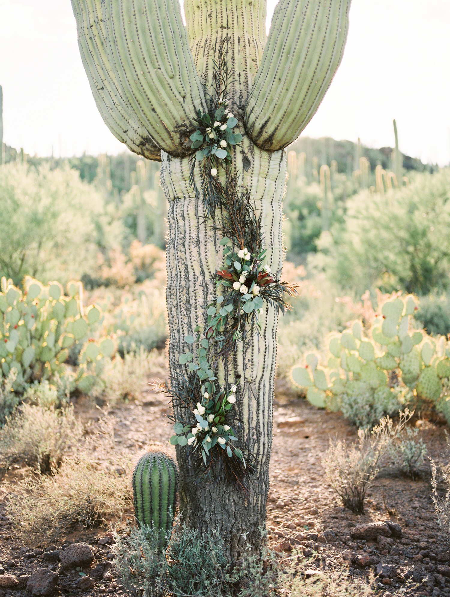 Alexis Grace Florals is amazing! Saguaro Cactus floral installation