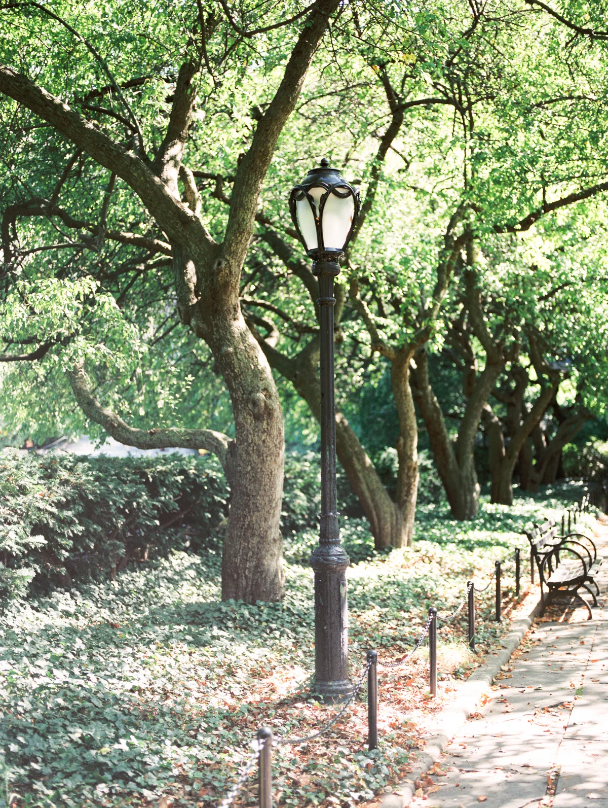 Central Park Conservatory Gardens on film by Betsy & John 
