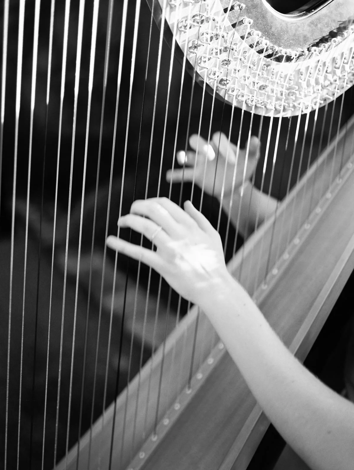 harpist.jpg