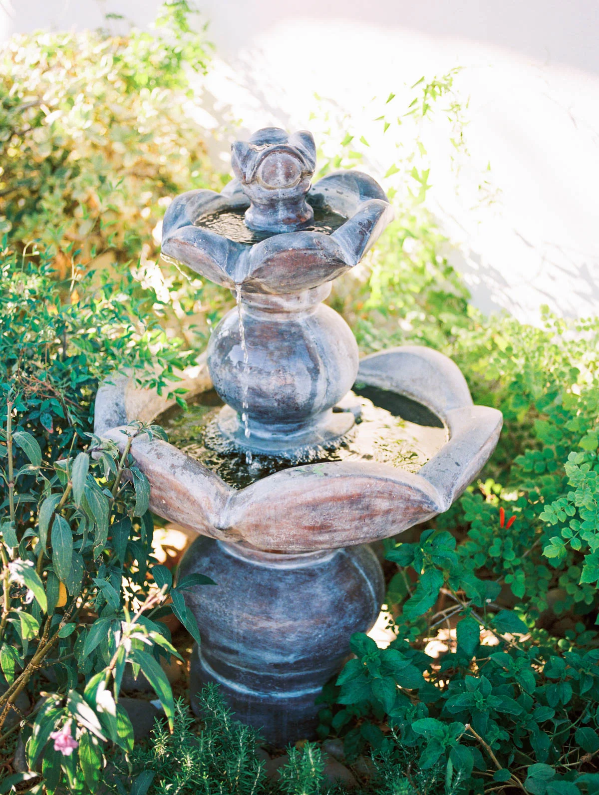Stillwell House wedding captured by Tucson Wedding Photographers Betsy & John