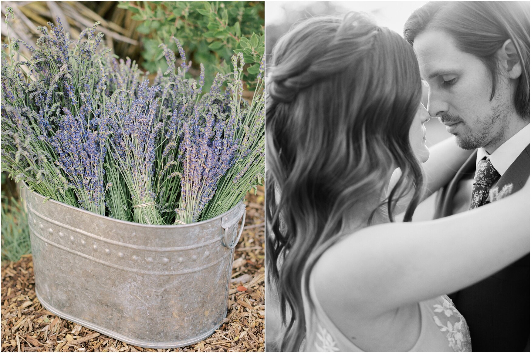 Lavender-field- wedding.jpg
