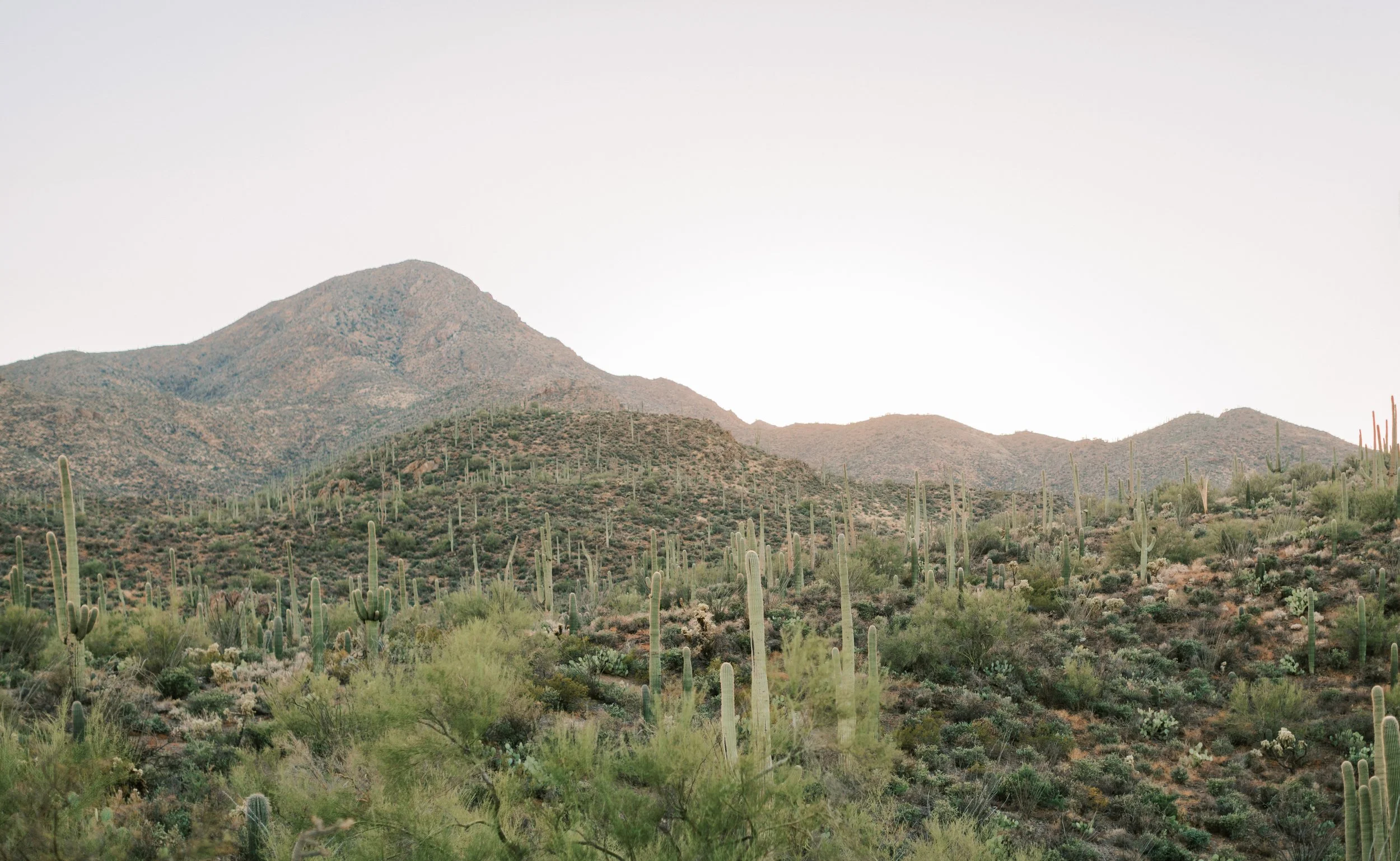 Tucson-Engagement-photographer.jpg