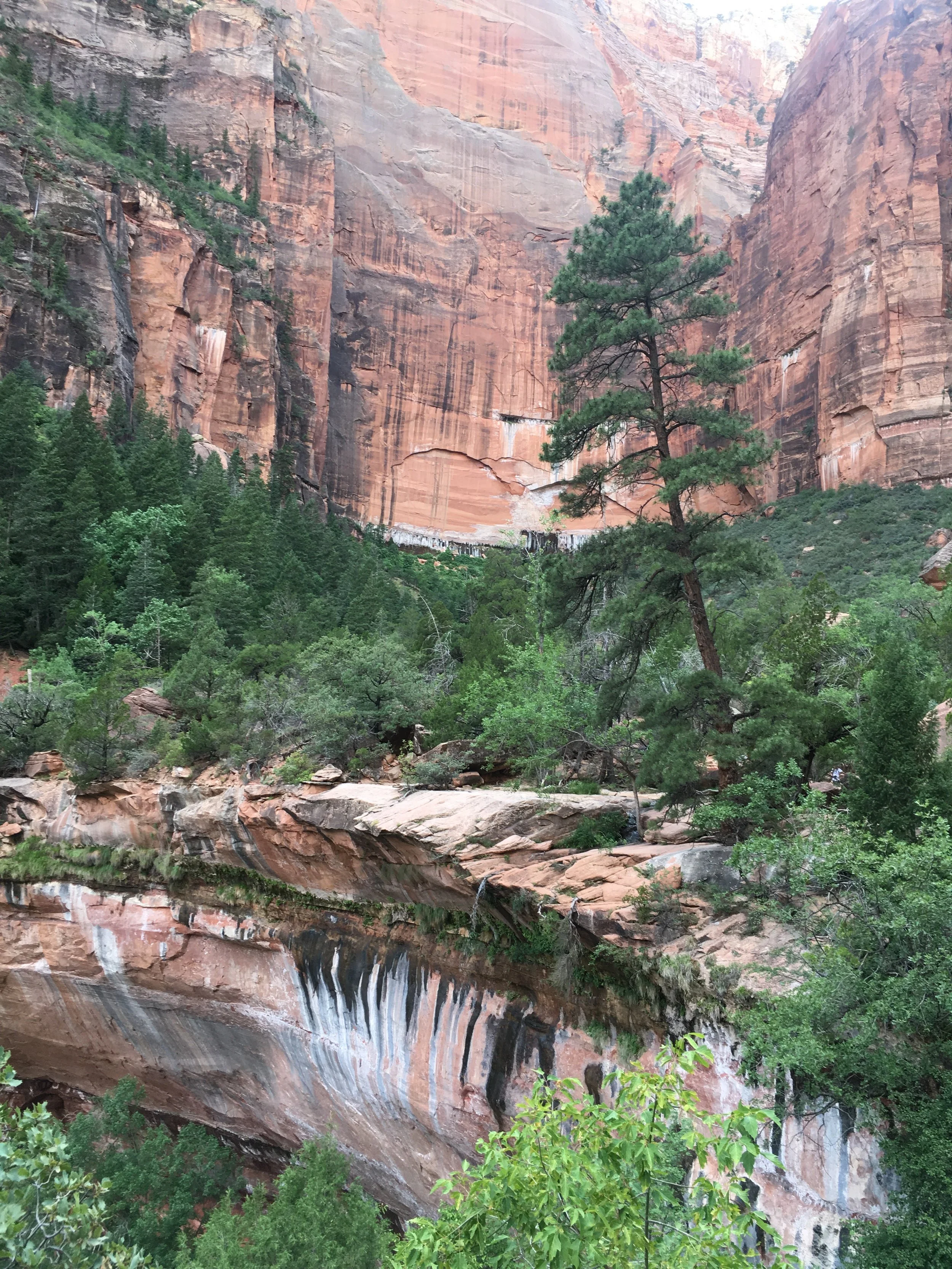 View from the Emerald Pools path