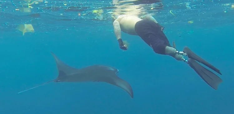 Manta Nick snorkel Bali.jpg