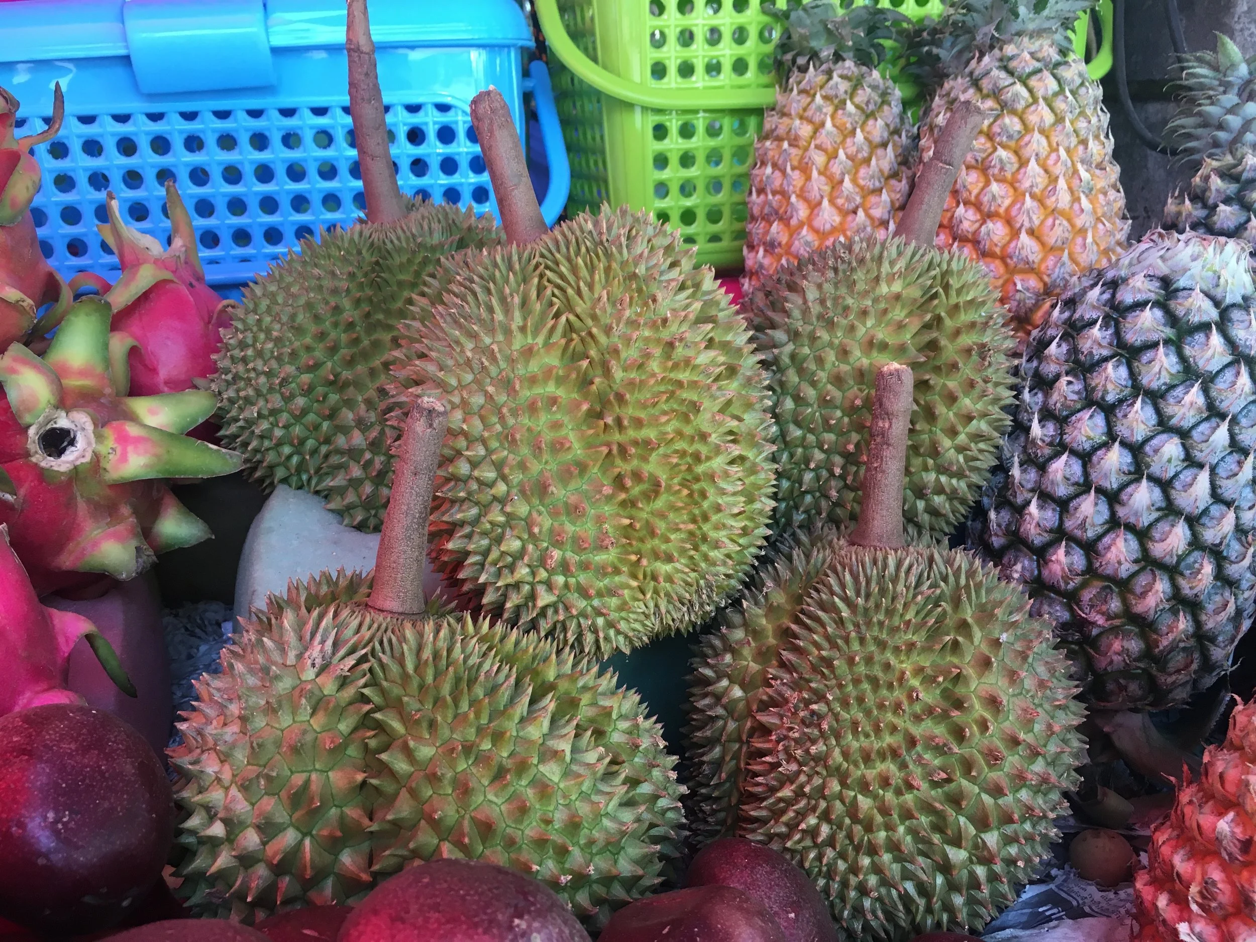 Exotic fruits that are hard to find in America. 