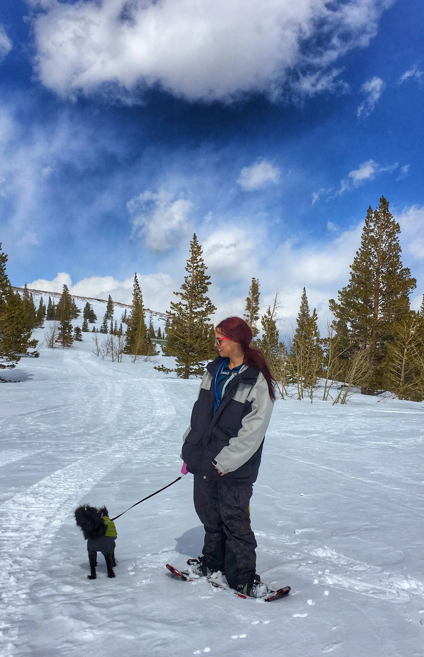 Exploring the dog-friendly paths the Lake Mary Loop.