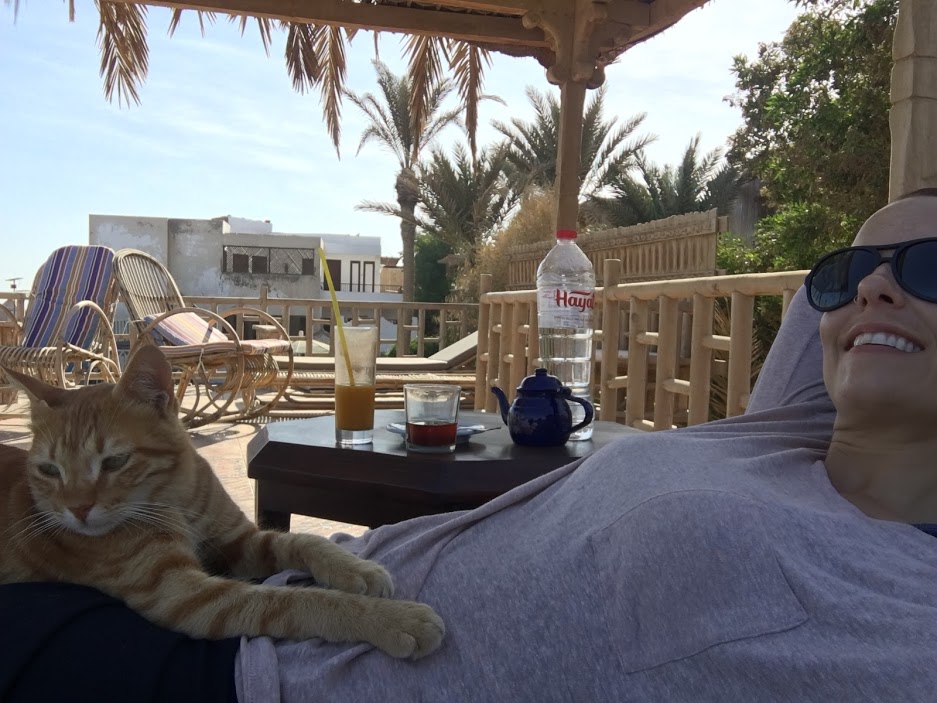 Egyptian cat keeping me company while I try to heal up.