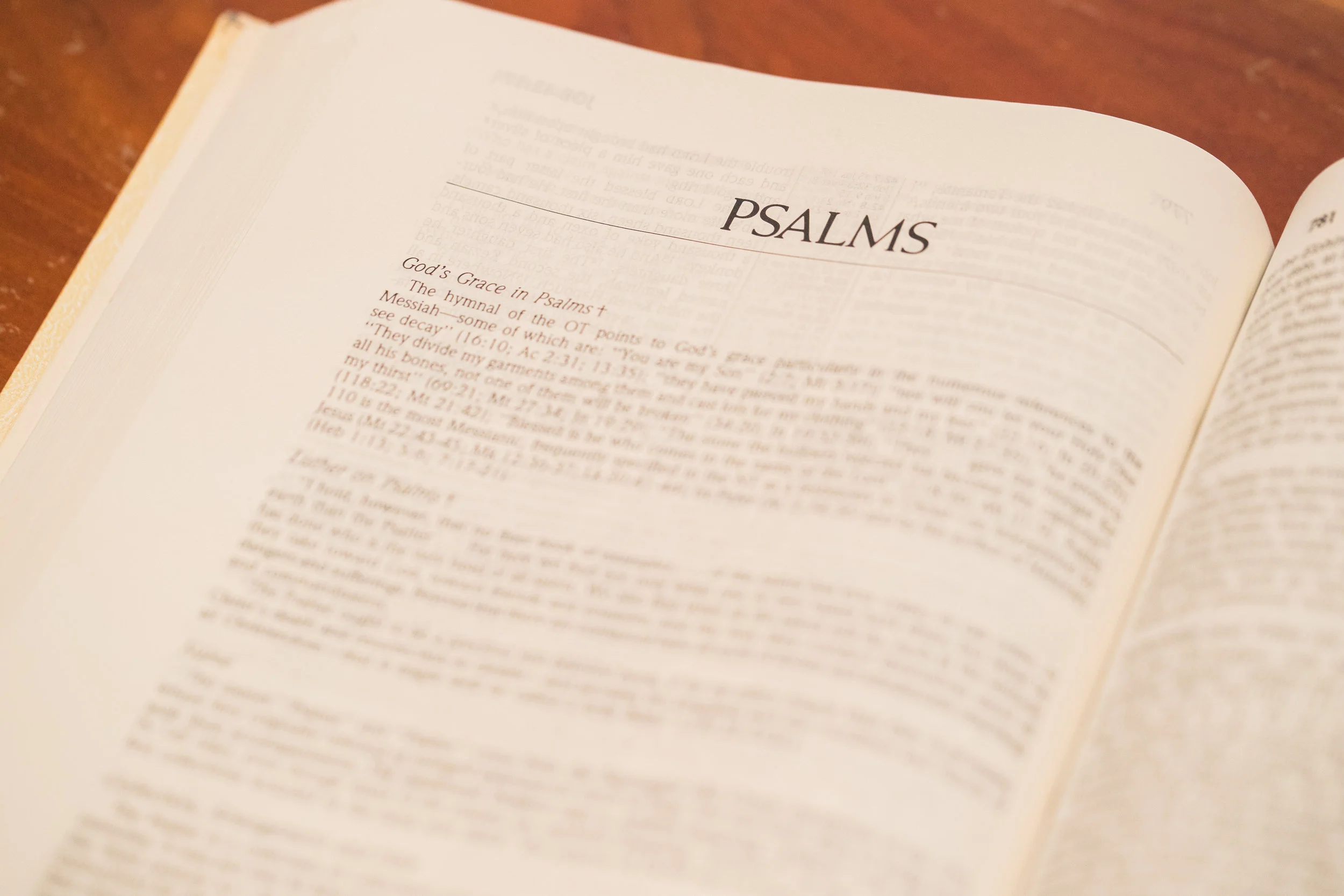 Psalms 2.jpeg