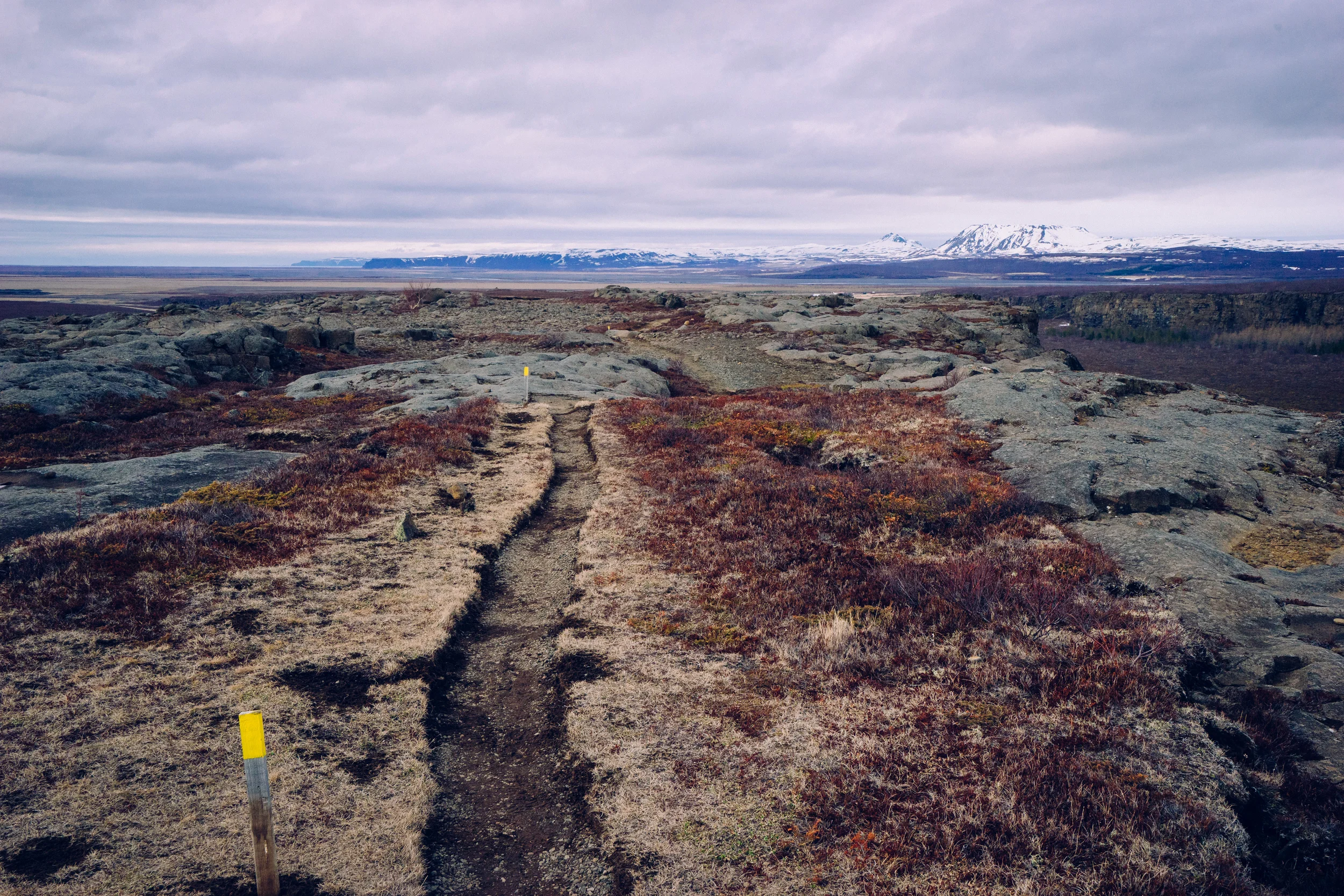 Isolated trail. Nothing but fresh air and serenity. 