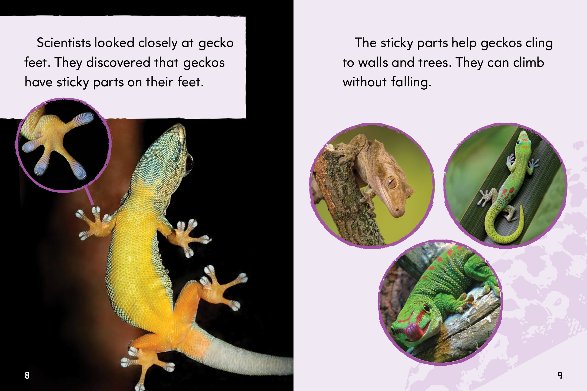 Photo research, editing, and permissions for numerous Houghton Mifflin Harcourt projects. This is a sample from an elementary school science book.
